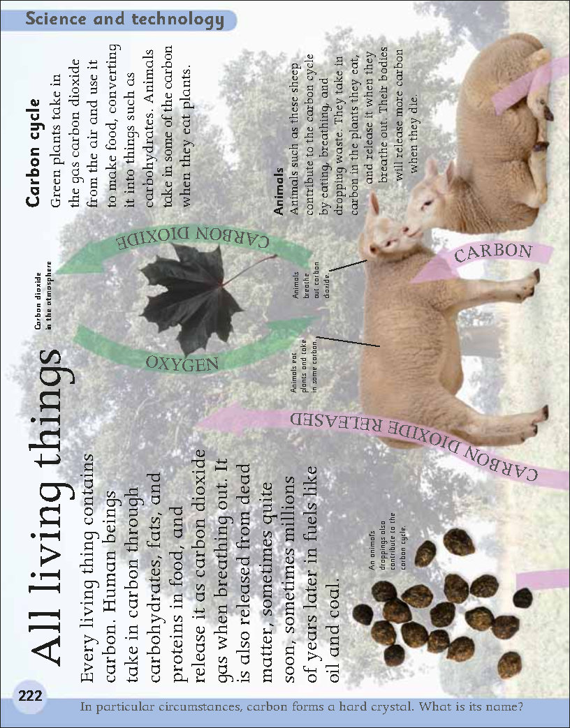 First Childrens Encyclopedia