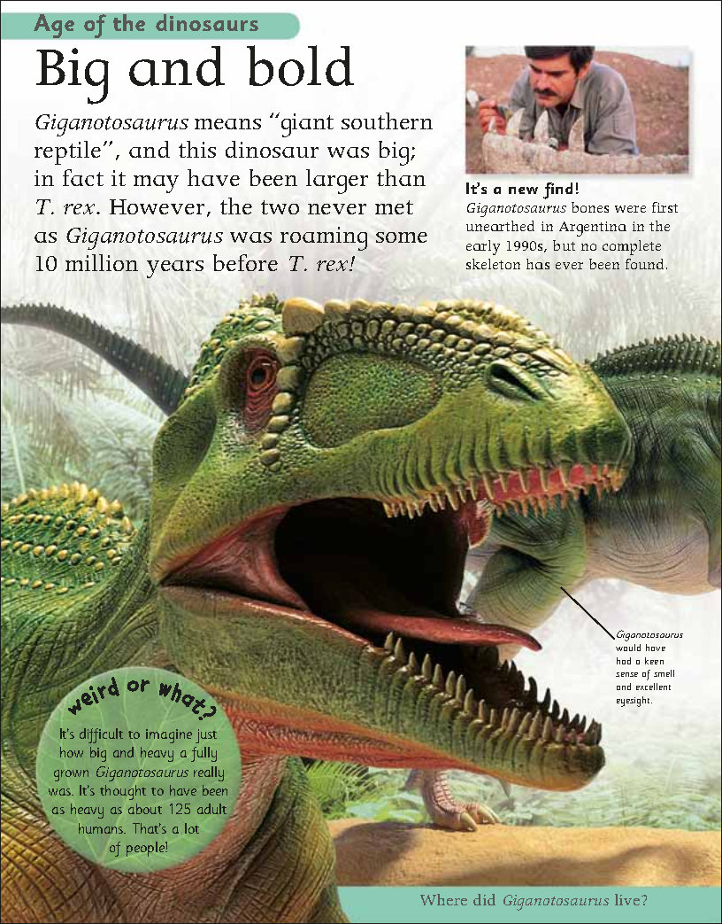 First Childrens Encyclopedia