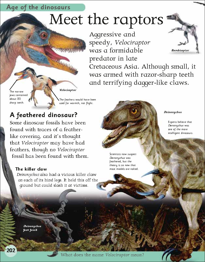 First Childrens Encyclopedia