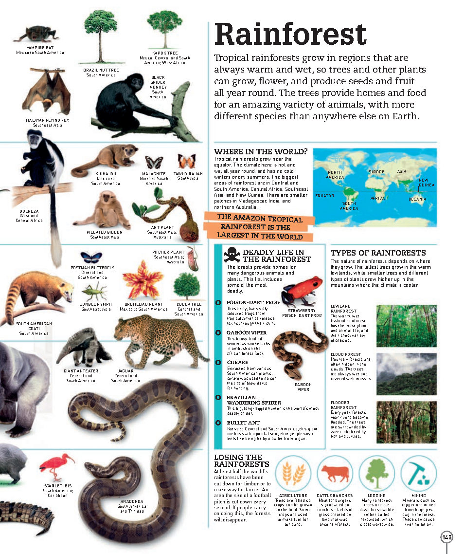 Picturepedia An Encyclopedia on Every Page