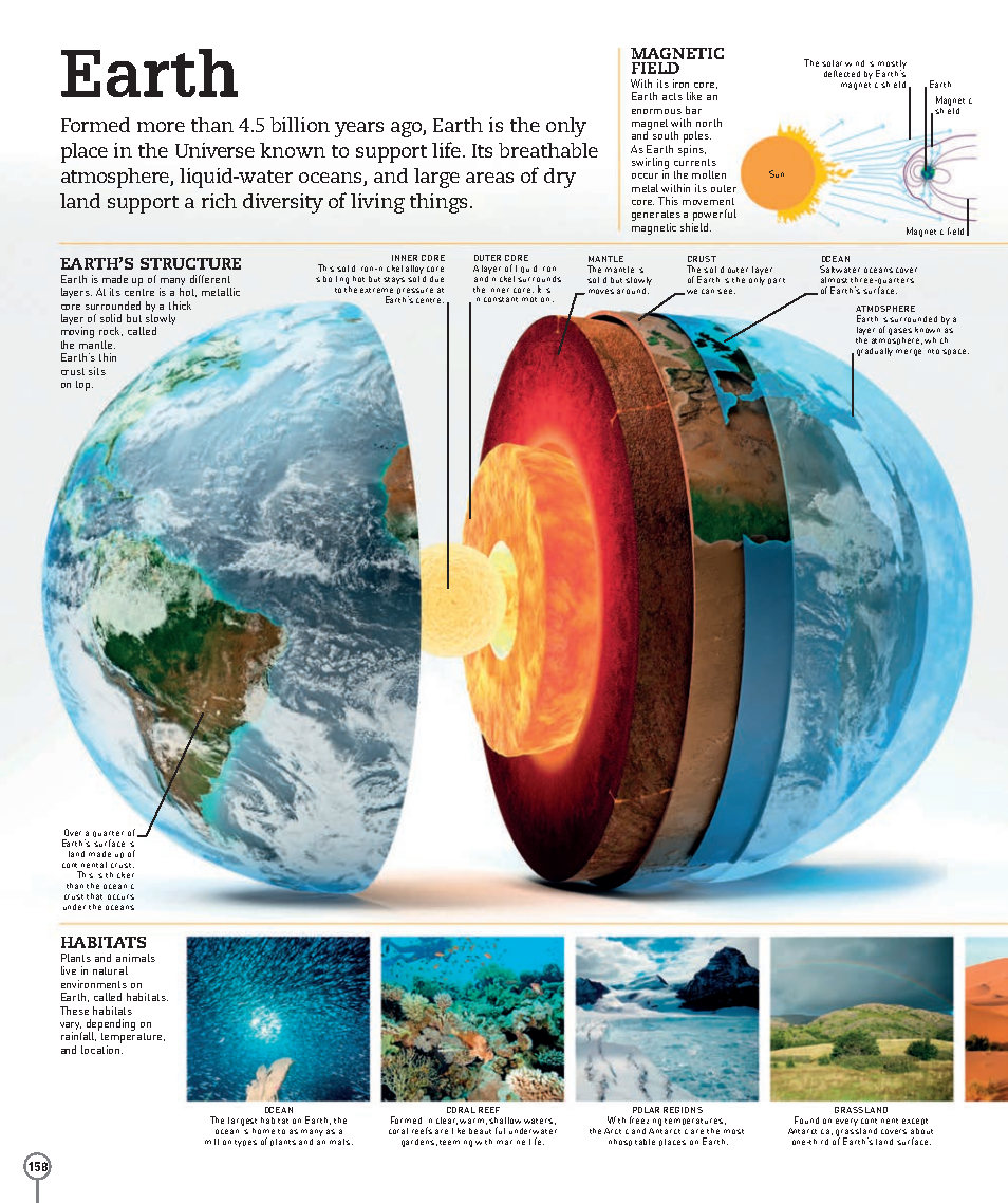 Picturepedia An Encyclopedia on Every Page