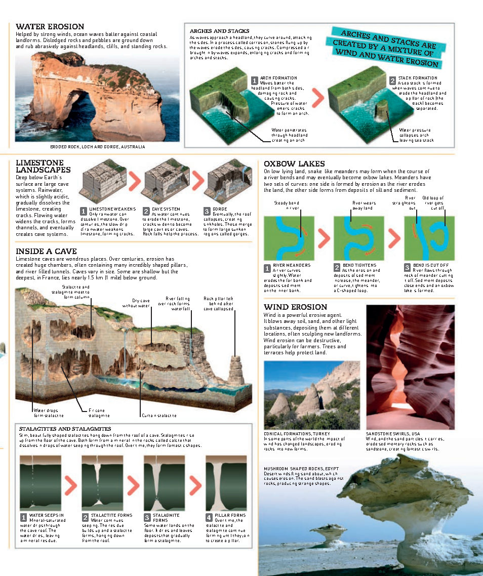 Picturepedia An Encyclopedia on Every Page