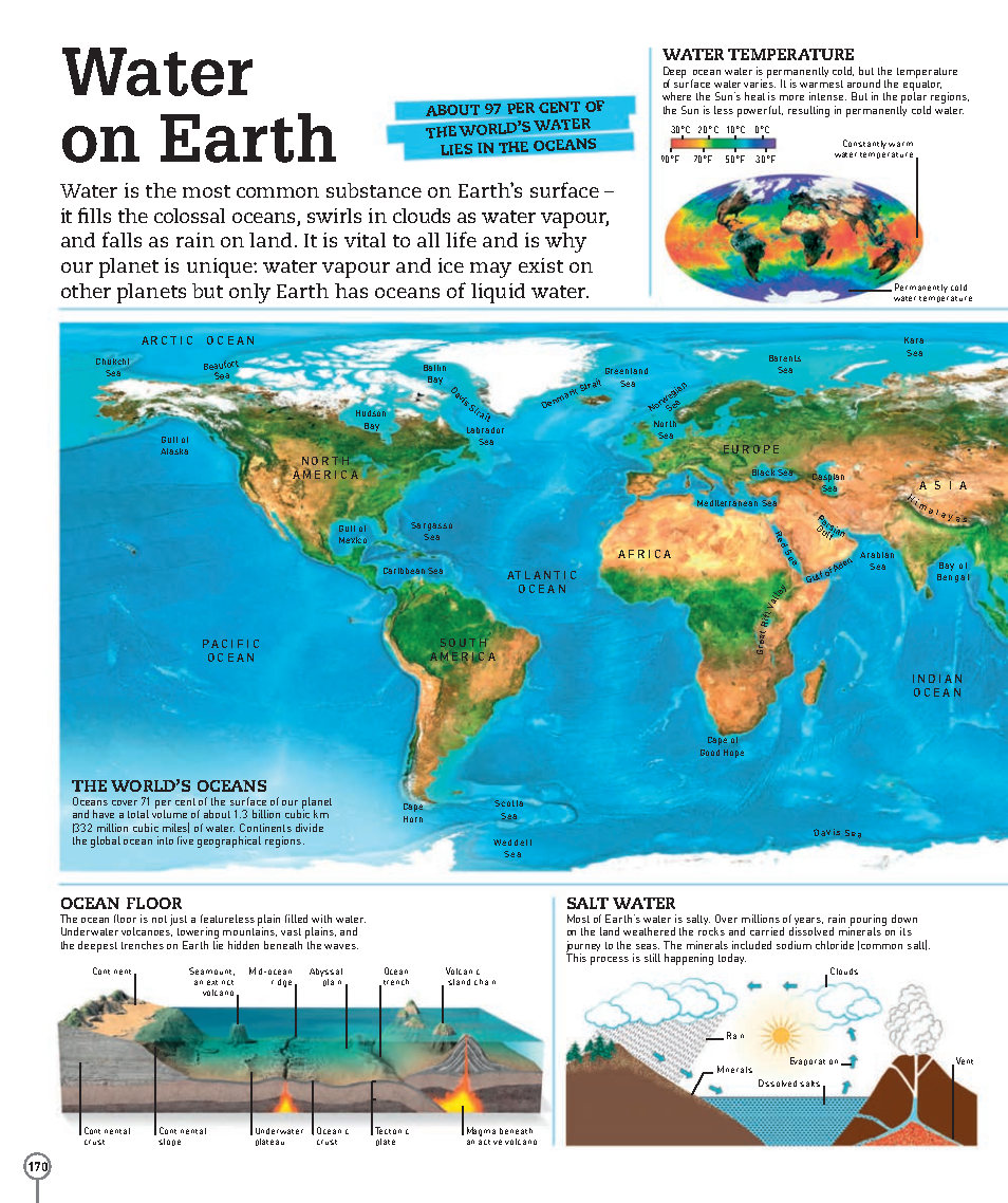 Picturepedia An Encyclopedia on Every Page