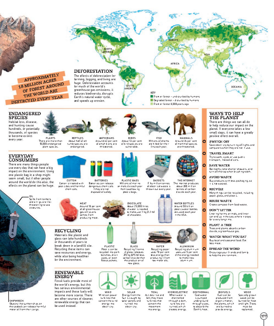 Picturepedia An Encyclopedia on Every Page
