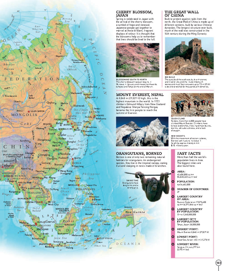 Picturepedia An Encyclopedia on Every Page