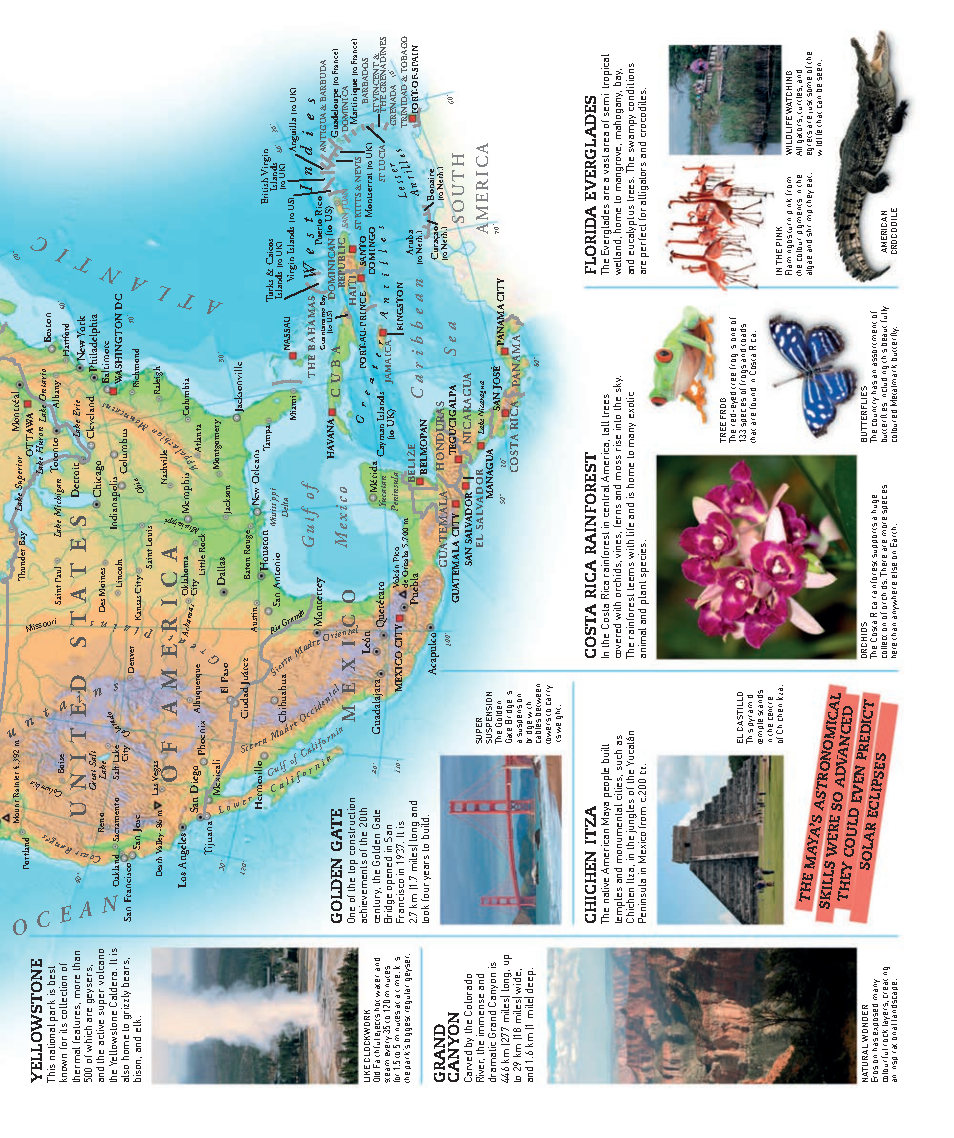 Picturepedia An Encyclopedia on Every Page