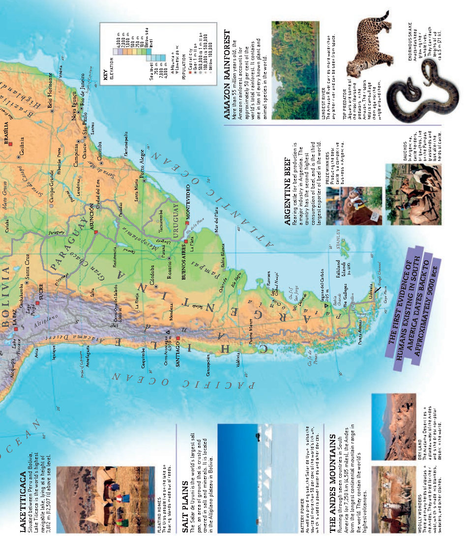 Picturepedia An Encyclopedia on Every Page