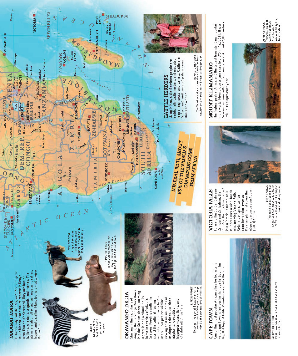 Picturepedia An Encyclopedia on Every Page