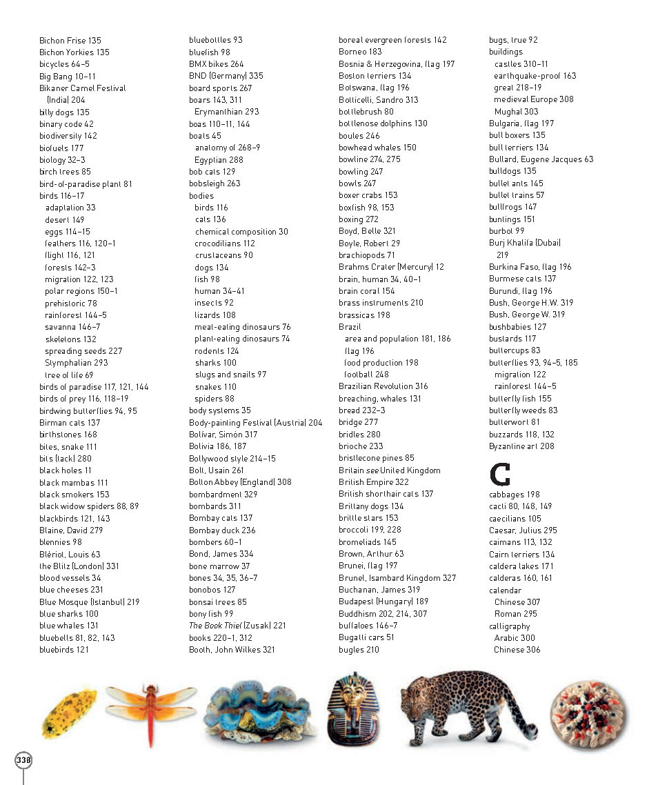 Picturepedia An Encyclopedia on Every Page