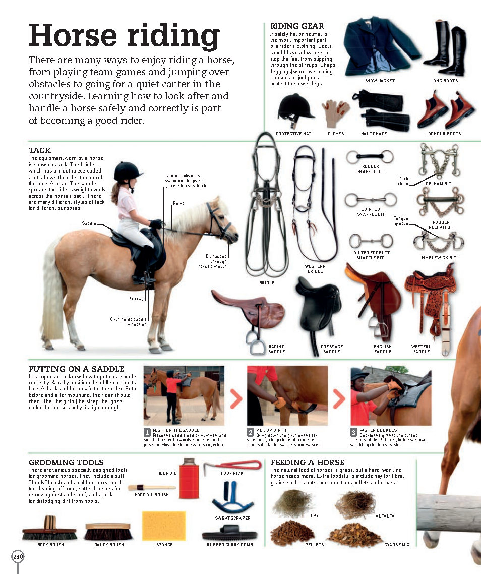 Picturepedia An Encyclopedia on Every Page