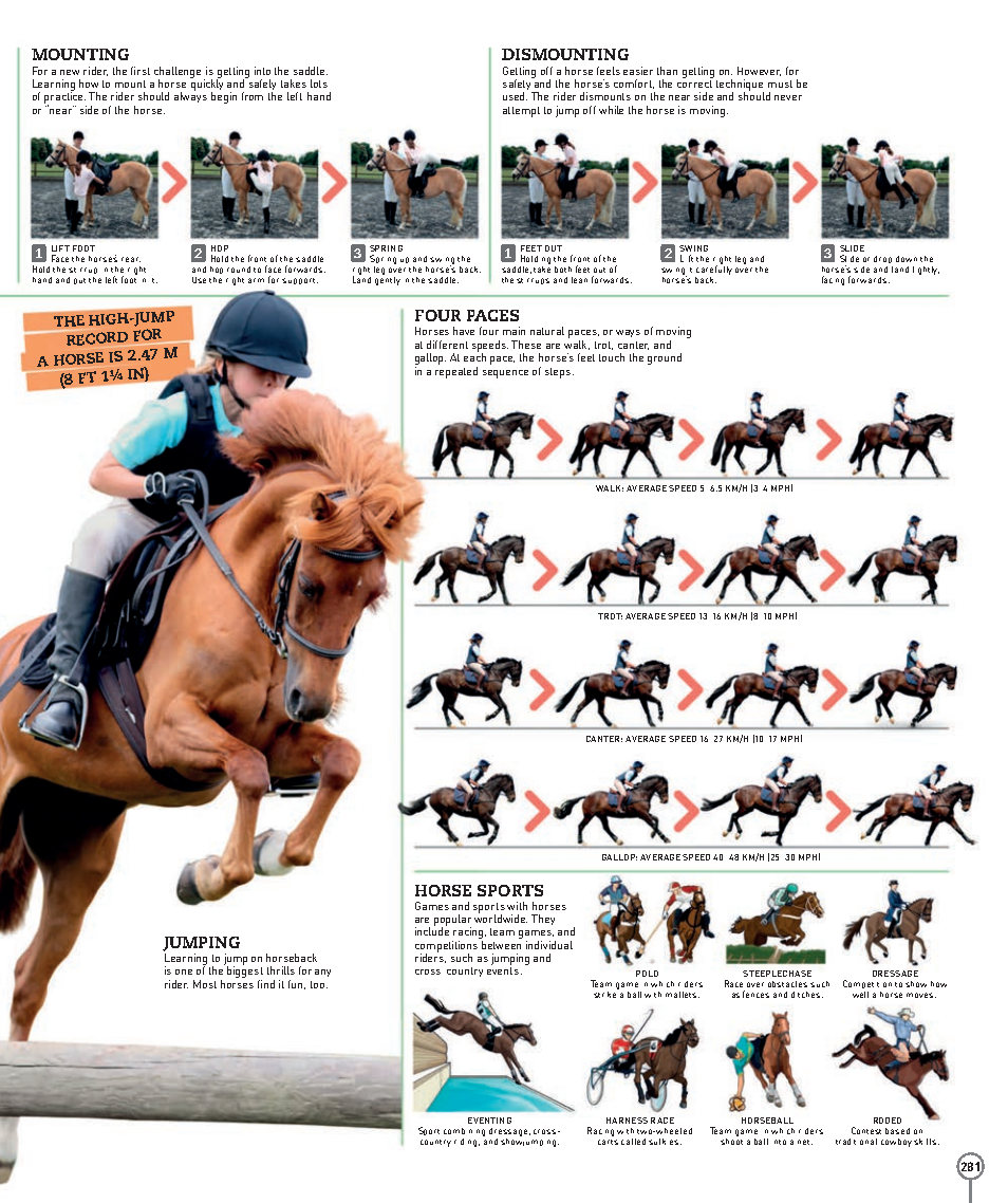 Picturepedia An Encyclopedia on Every Page