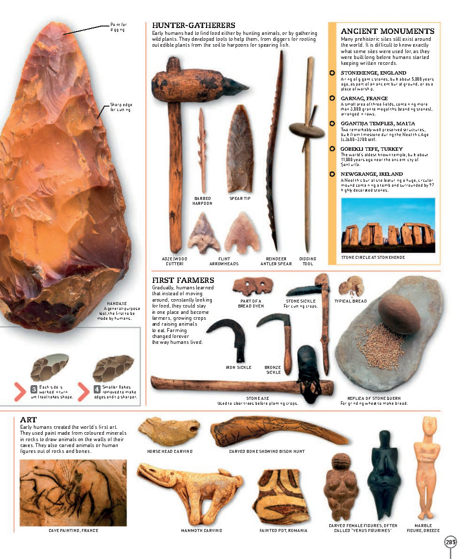 Picturepedia An Encyclopedia on Every Page