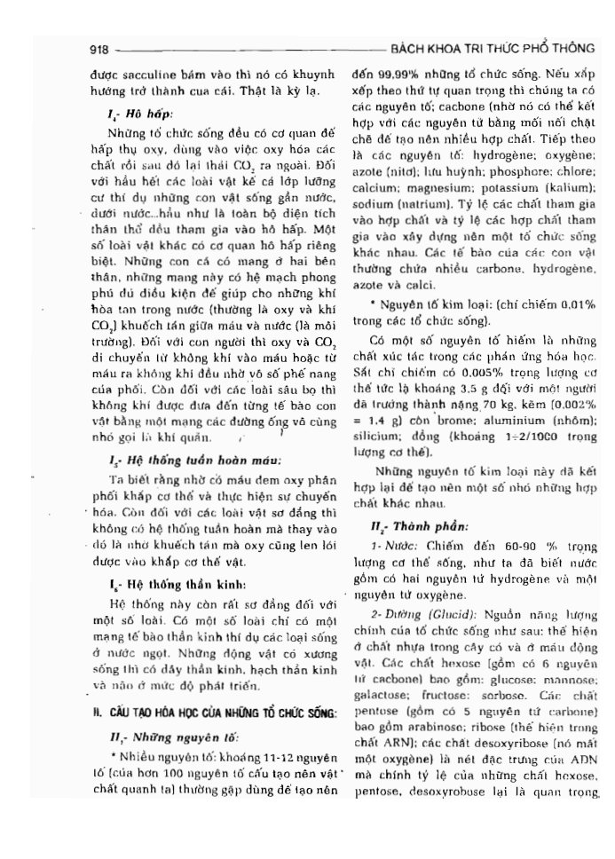 BÁCH KHOA TRI THỨC PHỔ THÔNG