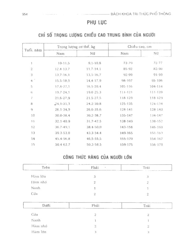BÁCH KHOA TRI THỨC PHỔ THÔNG