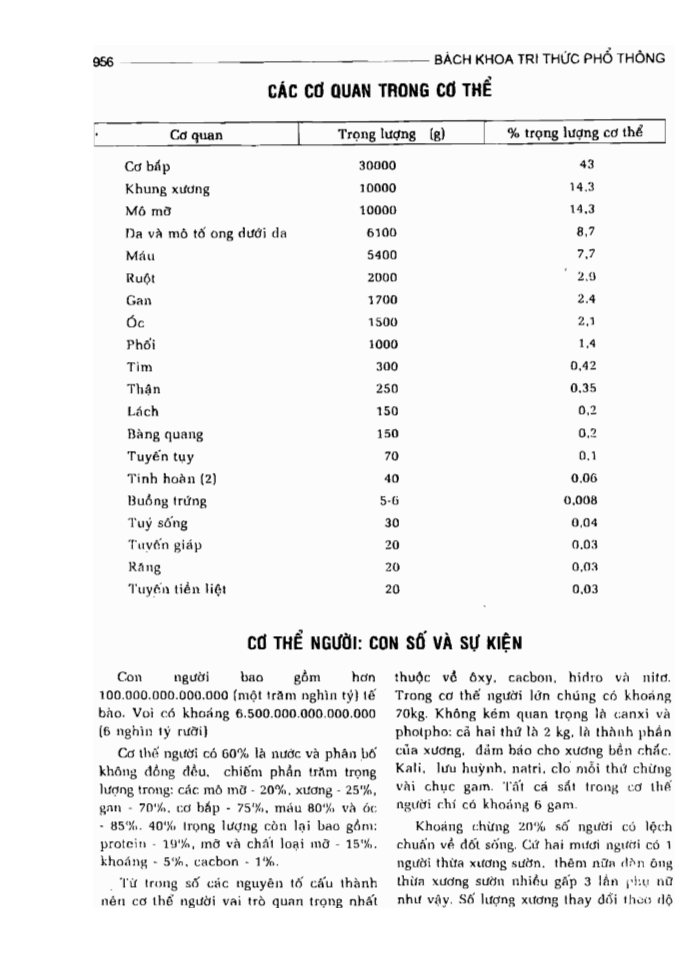 BÁCH KHOA TRI THỨC PHỔ THÔNG