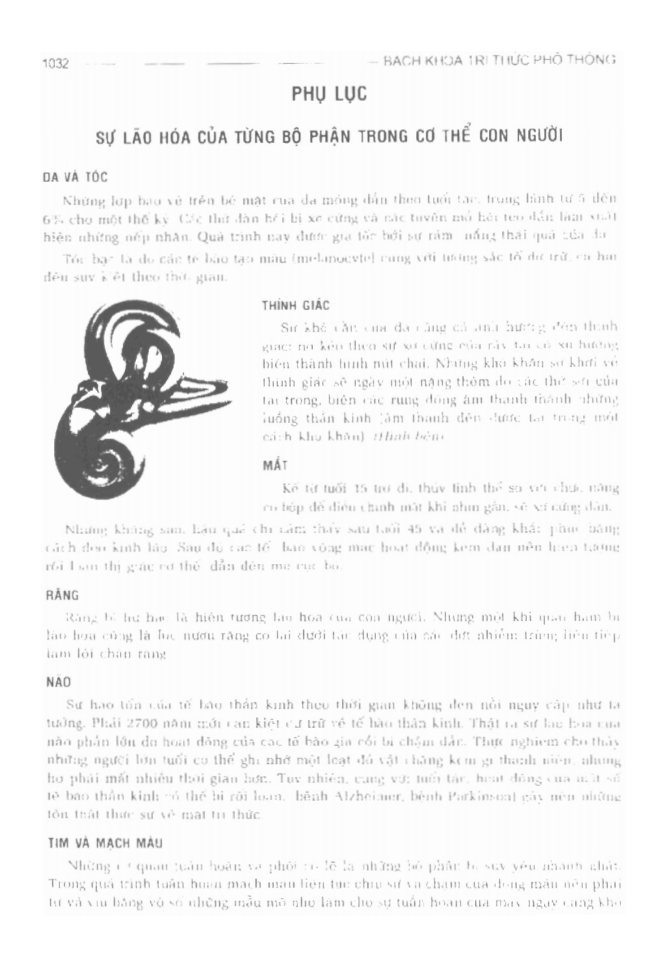 BÁCH KHOA TRI THỨC PHỔ THÔNG