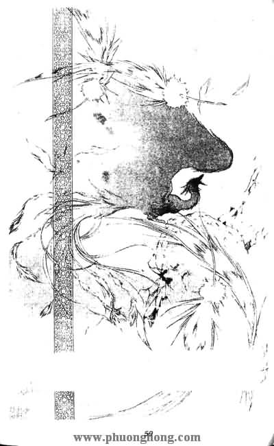 Cô bé hoa anh đào